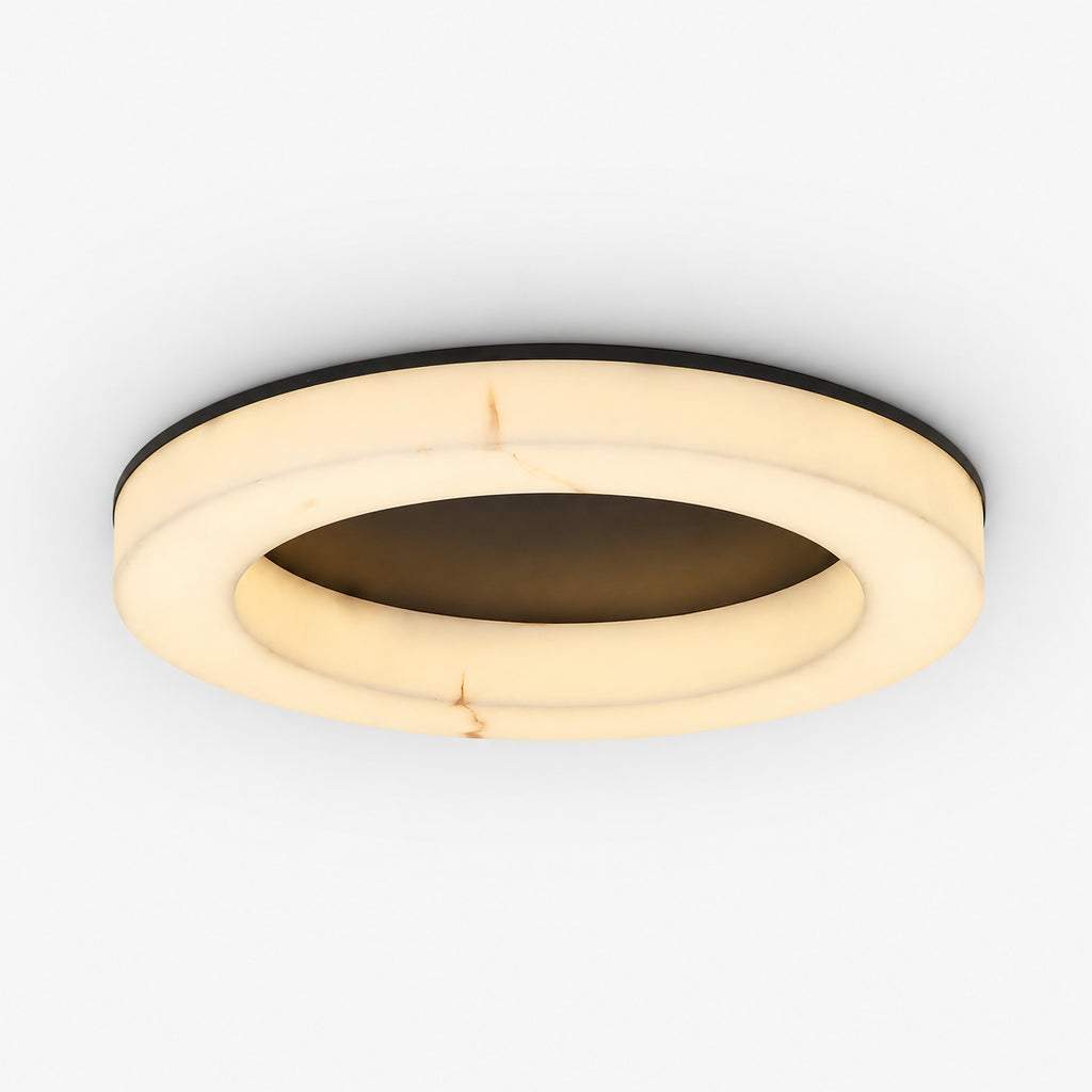 Avrn Liora ceiling mounted LED light detail