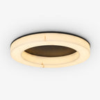 Avrn Liora ceiling mounted LED light detail